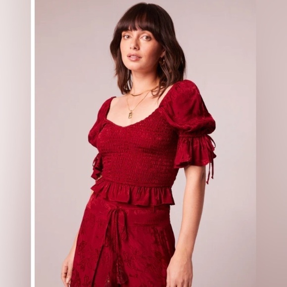 NWT Band of the Free Whimsigoth Romantic Ruby Rhubarb Smocked Crop Top Size XS - Picture 4 of 9